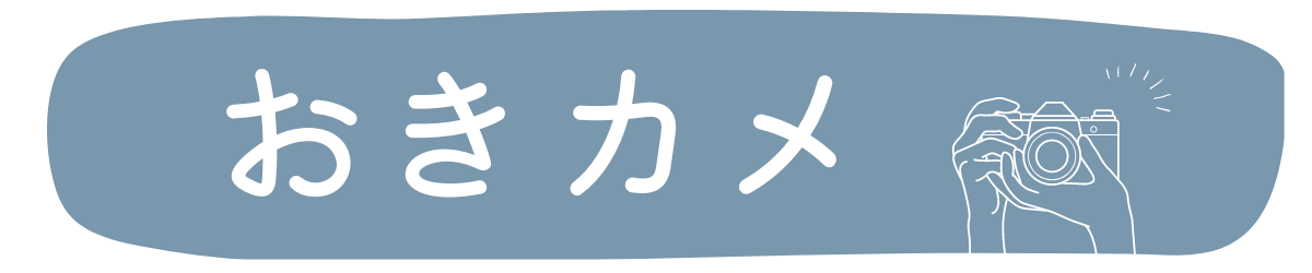 おきカメ